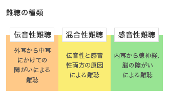 聴覚障がいとは？ 等級や種類、コミュニケーション時に配慮すべきこと